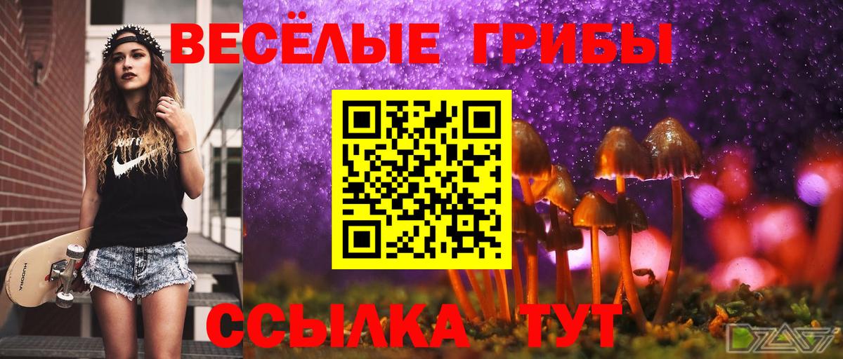 Назрань  Псилоцибиновые грибы мицелий  Вход с VPN  Галлюциногенные грибы MAGIC MUSHROOMS 